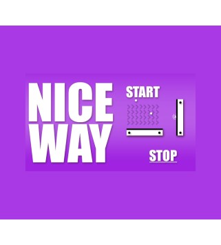 Nice Way Steam Key GLOBAL